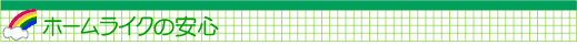 �z�[�����C�N�̈��S